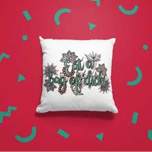 Load image into Gallery viewer, Eat A Bag Of Dicks Pillow Cover