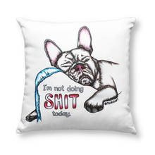 Load image into Gallery viewer, Creative Kit Lite: Pillow Cover + Markers