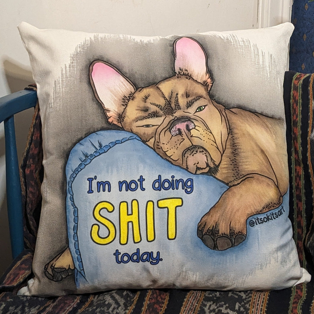 Custom Painted Pillow Cover