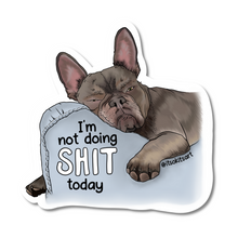 Load image into Gallery viewer, Sticker - I&#39;m Not Doing Shit Today (Mini)
