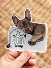 Load image into Gallery viewer, Sticker - I&#39;m Not Doing Shit Today (Large)