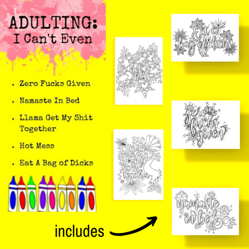 Postcard Pack-Adulting: I Can't Even