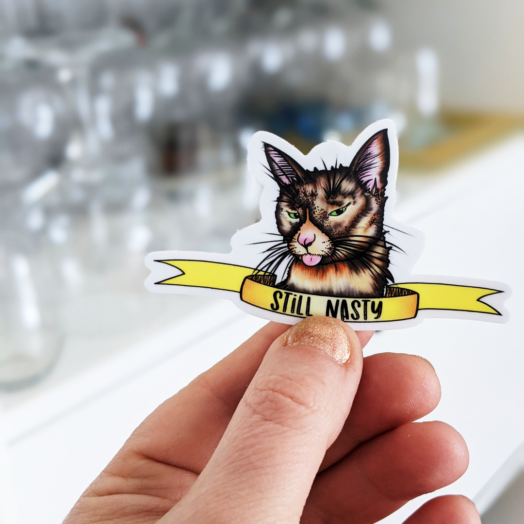 Pop Cat Stickers – Bunhiry